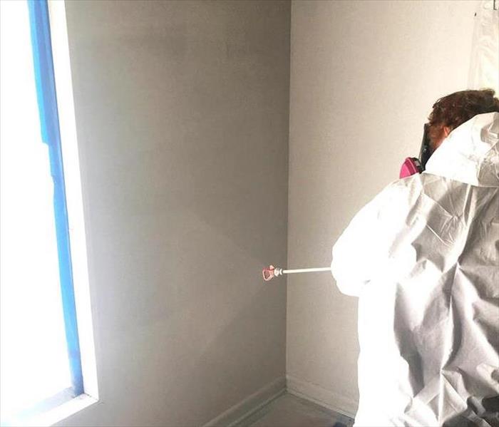 male employee spraying white walls